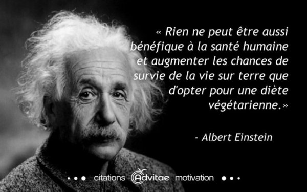 einstein_quote